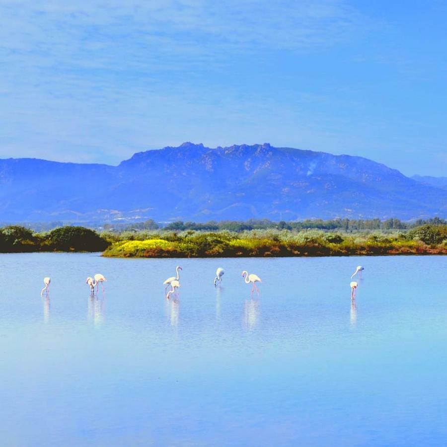 Sa Caladroxa Villa Villa San Pietro Bagian luar foto